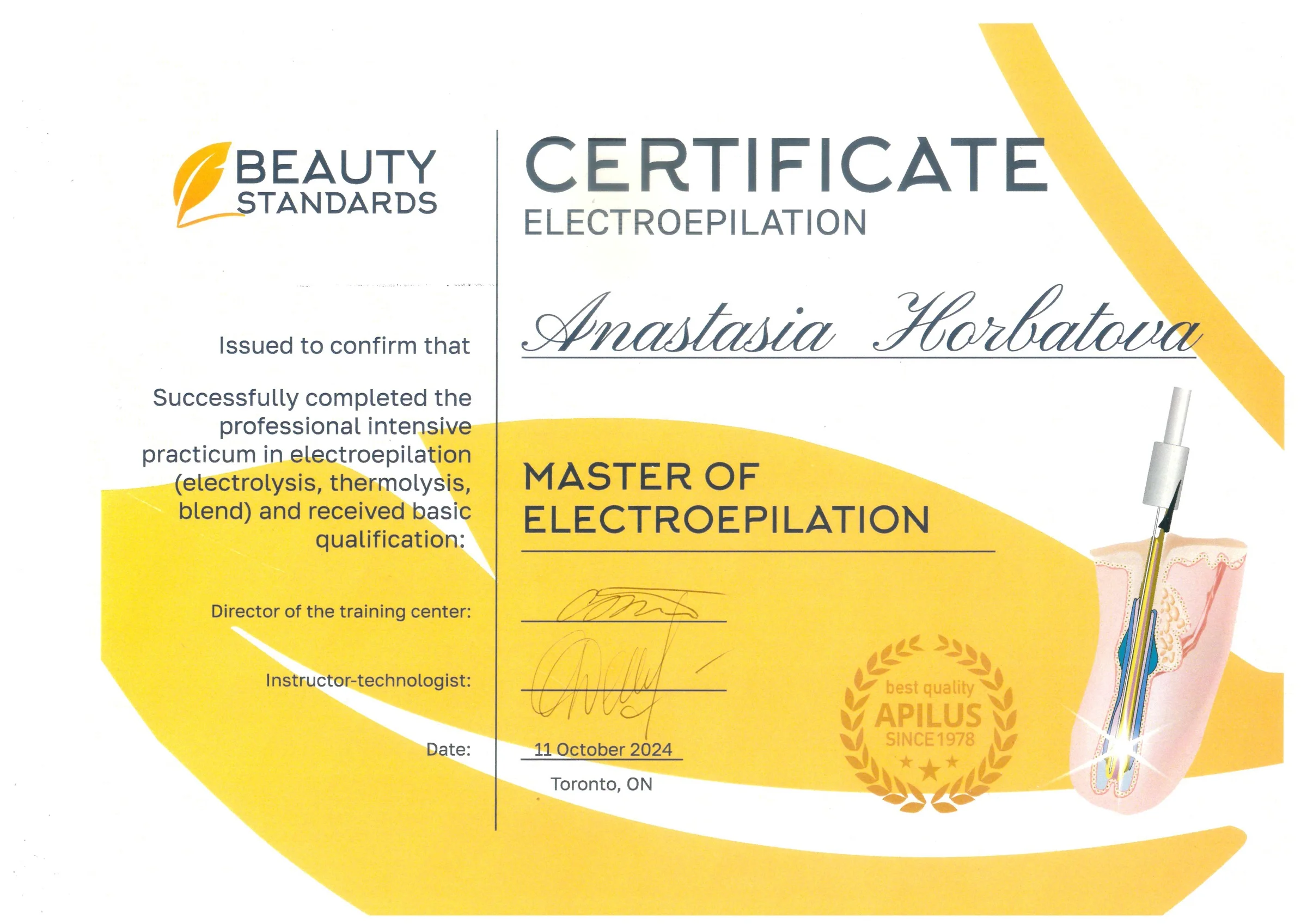 Certificate — Master of Electroepilation, Beauty Standards, Toronto, 11 October 2024