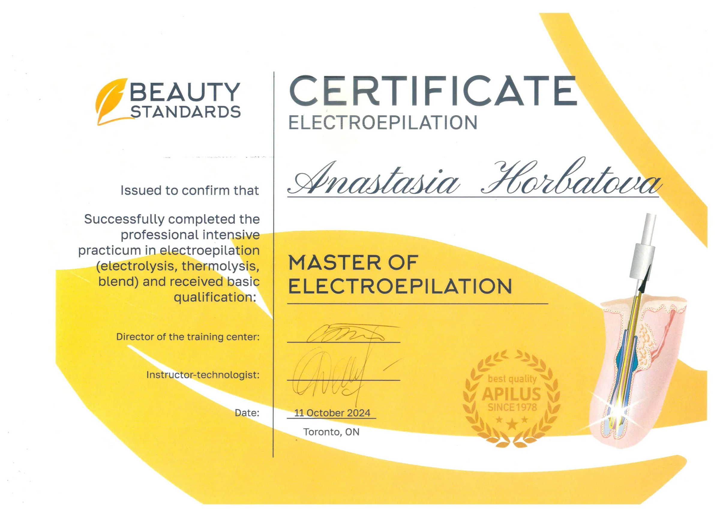 Certificate — Master of Electroepilation, Beauty Standards, Toronto, 11 October 2024
